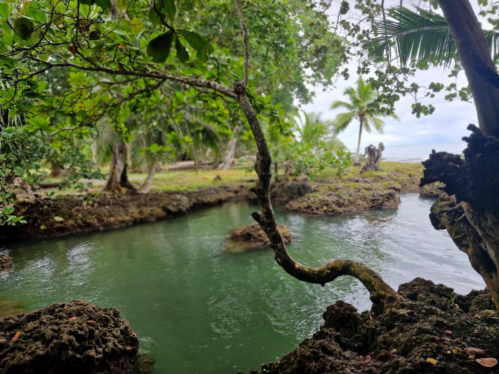Serenity Houses Cahuita Kültér fotó